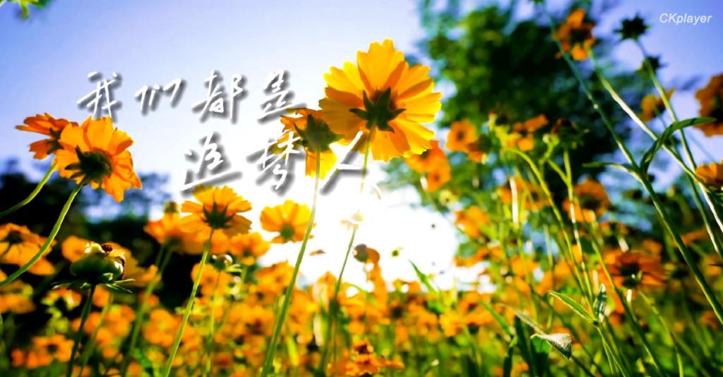 版权所有
